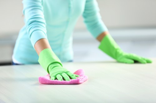 Removing pet odours from upholstery and rugs