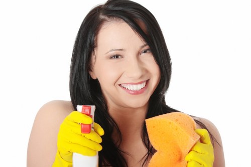 Final complaint resolution discussion for carpet cleaners